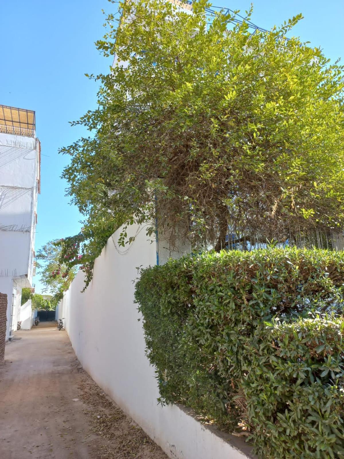 Villa Kaslan Apartments ルクソール エクステリア 写真